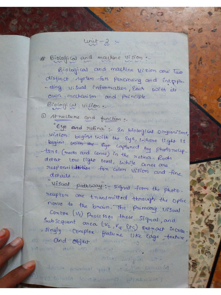 DL Unit 2 | PDF