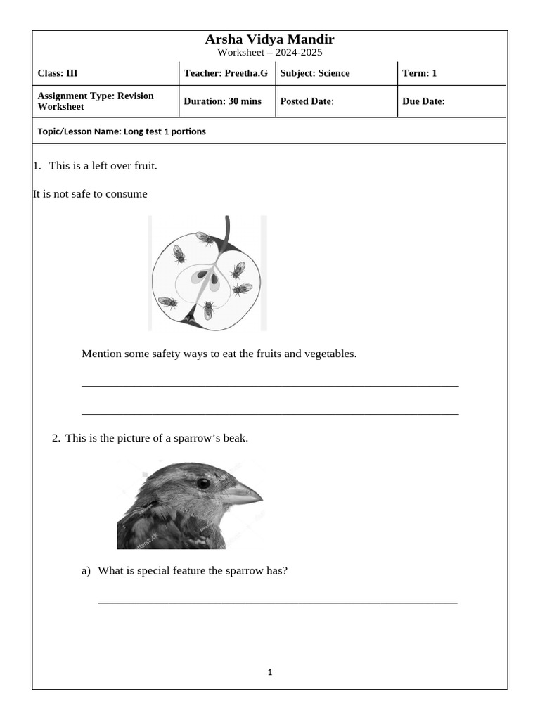 File - 1726051847 - Sample Social Revision Paper 3 | PDF | Earth ...