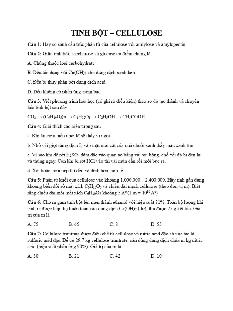 Tinh B T - Cellulose | PDF