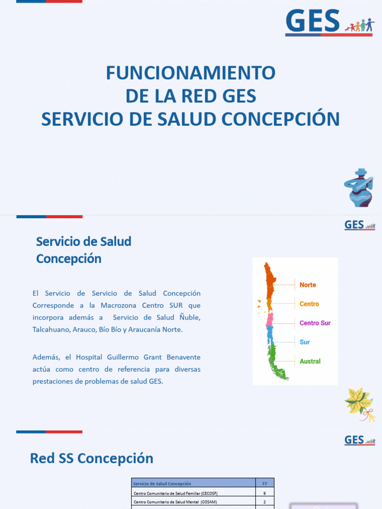 Funcionamiento GES en Salud Concepción | PDF | Hospital | Cuidado de la ...