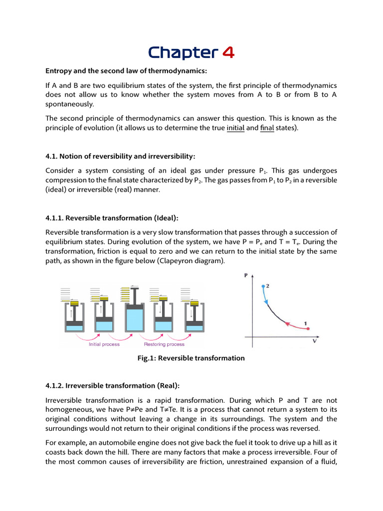Entropy and Thermodynamic Principles | PDF | Heat | Entropy