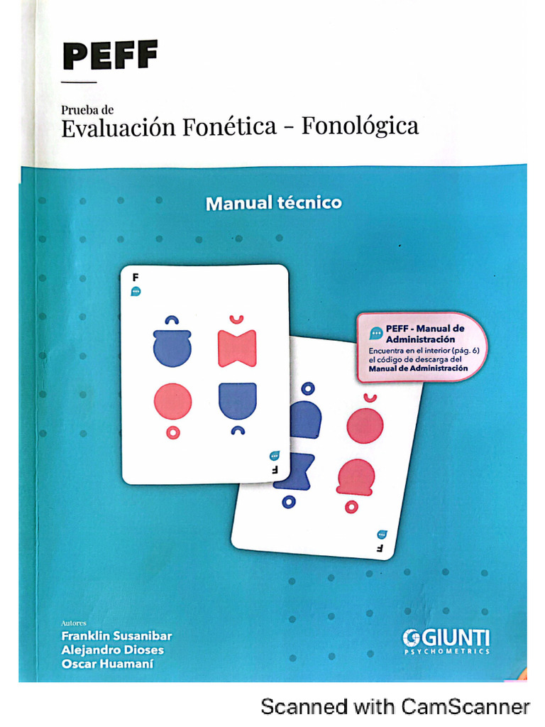 Manual Técnico 1 PEFF | PDF