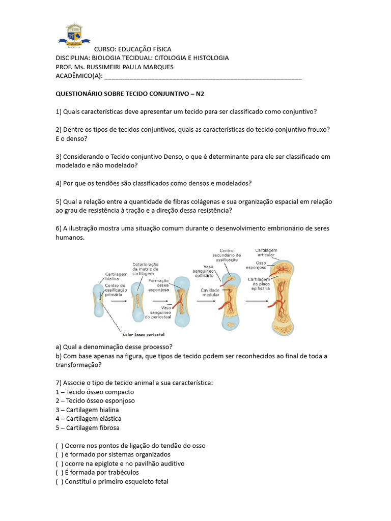 Exercícios sobre Tecido Conjuntivo | PDF | Tecido conjuntivo | Osso