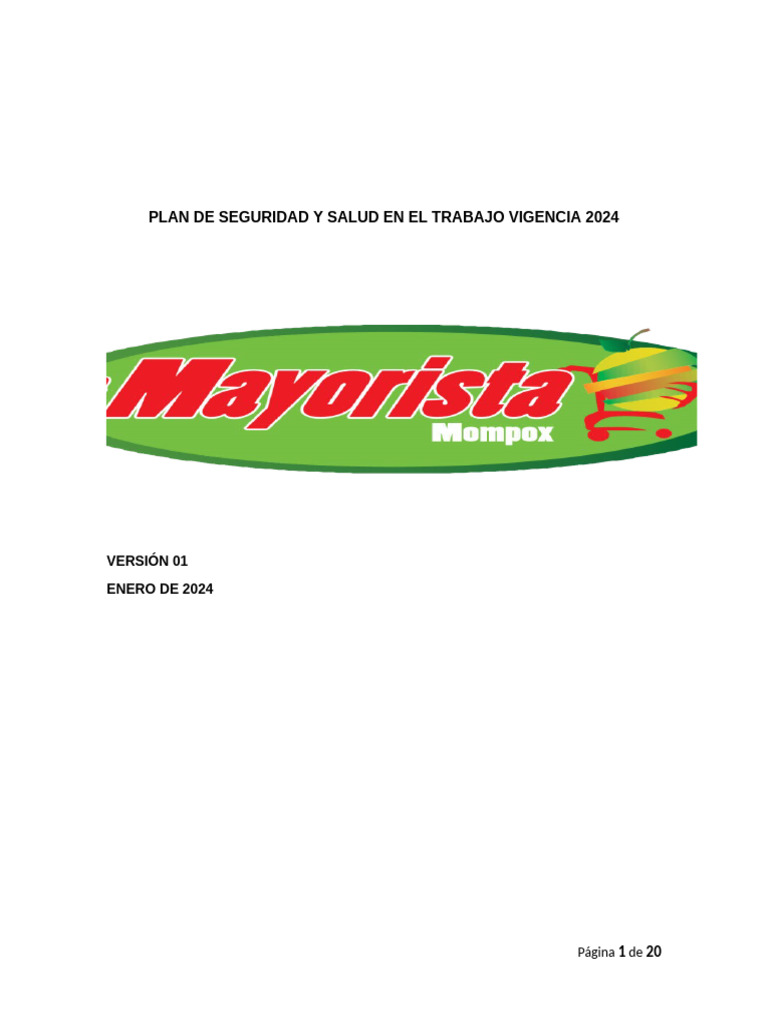 Plan de Seguridad y Salud 2024 | PDF | Seguridad y salud ocupacional ...