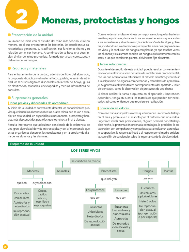 Moneras, Protoctistas y Hongos: Presentación de La Unidad | PDF | Algas |  Las bacterias