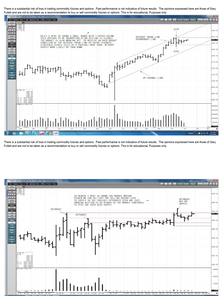 Risks of Trading Commodity Futures | PDF | Futures Contract | Option ...
