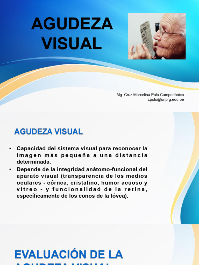 Alteraciones de La Agudeza Visual en El Adulto - MPC | PDF | Ojo humano ...