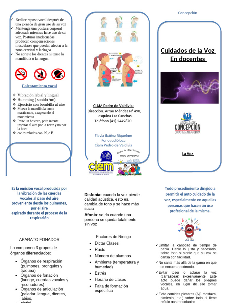 Triptico Cuidado de La Voz | PDF | Garganta Humana | Voz humana
