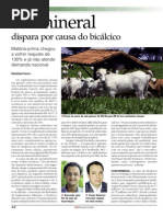 Mercado de Suplementos Minerais - DBO Rural