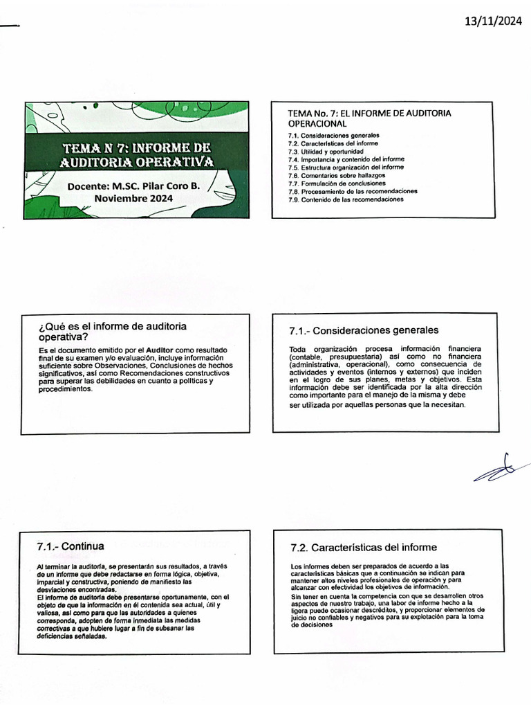 Tema NR 7 Informe de Auditoria Operativa | PDF