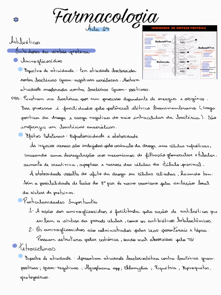 Aula 24 | PDF