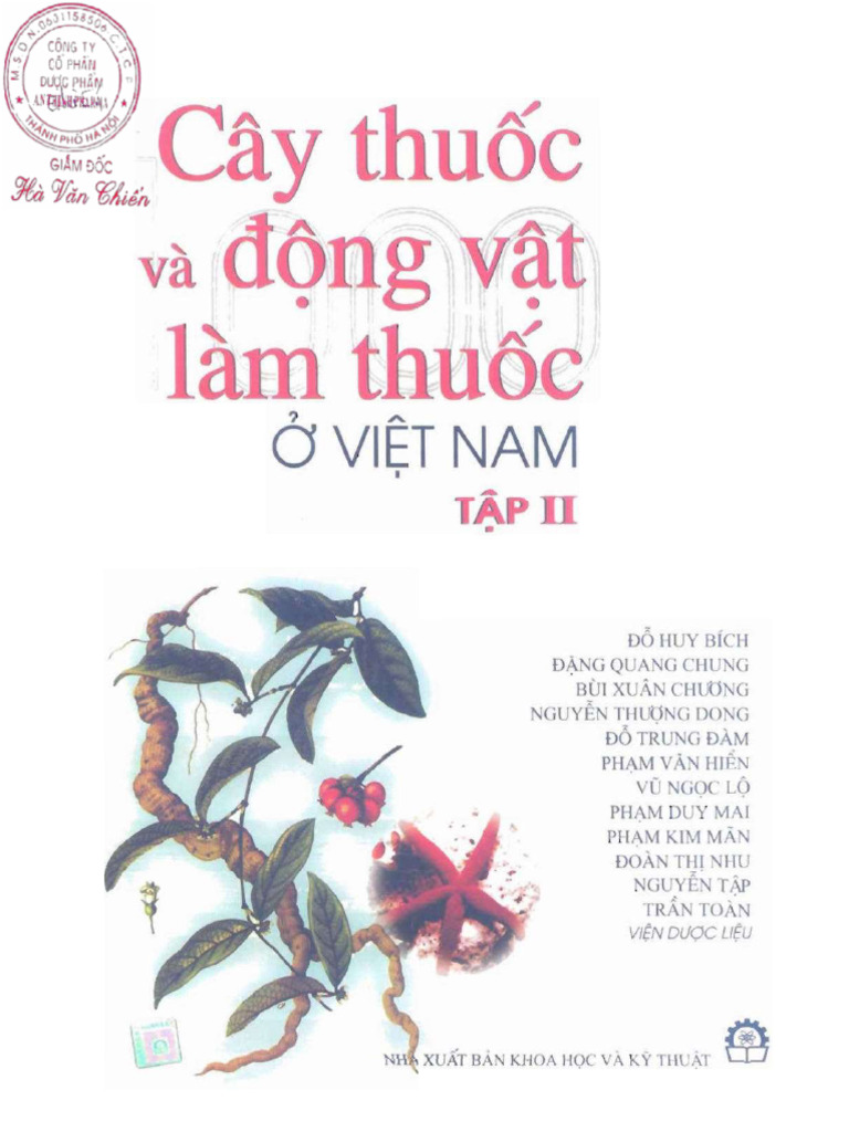 TLTK Part 2 | PDF