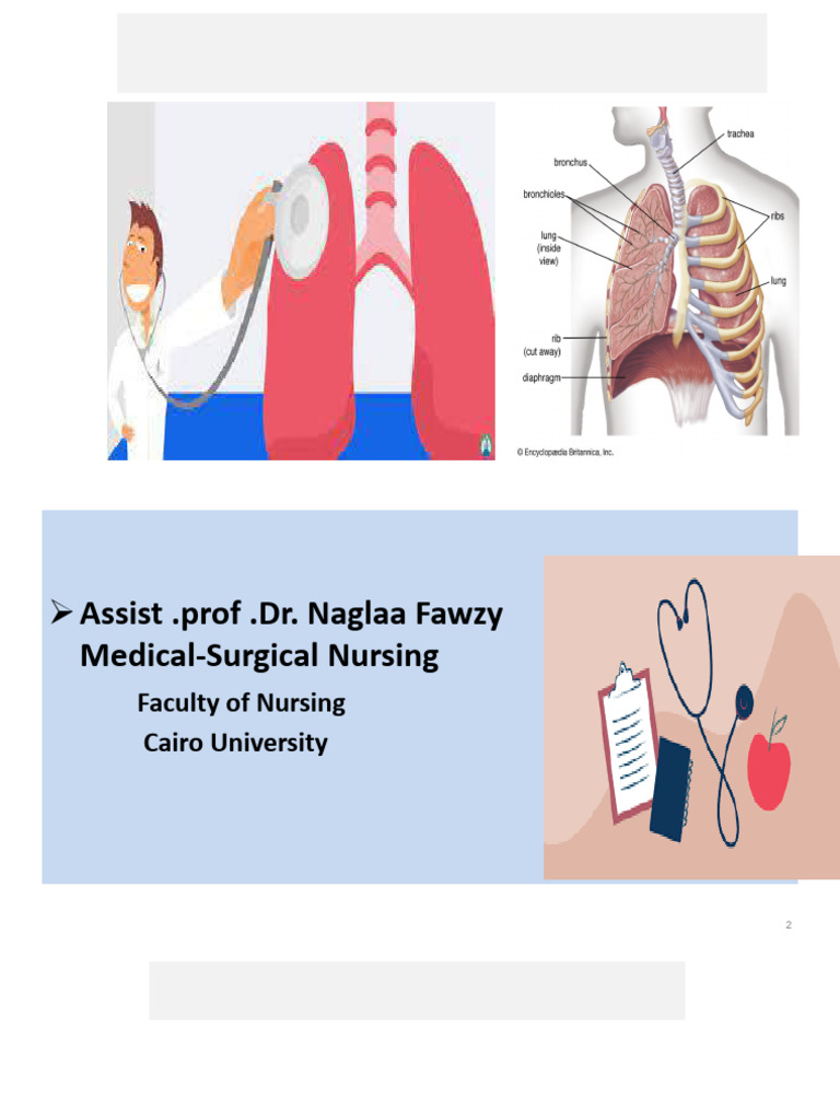 Respiratory Assessment Pdf Thorax Lung