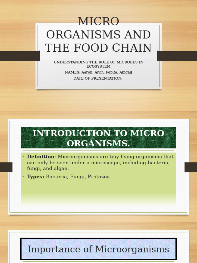 Microorganisms' Role in Food Chains | PDF