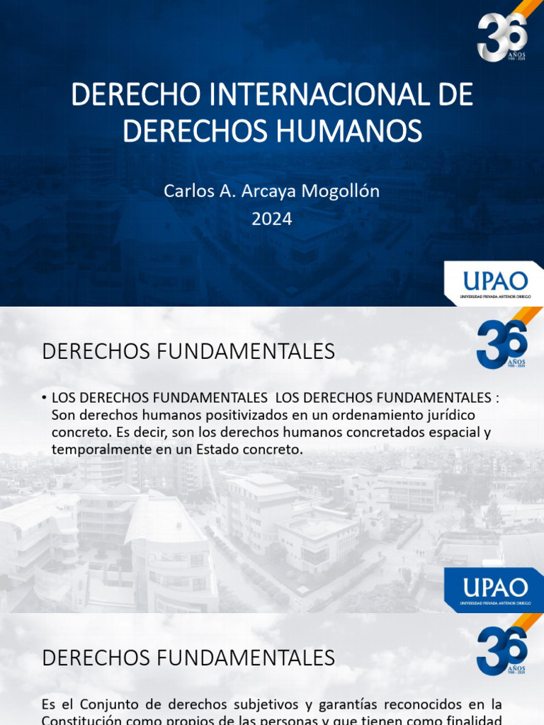 Derecho Internacional de Los Derechos Humanos | PDF | Derechos humanos ...