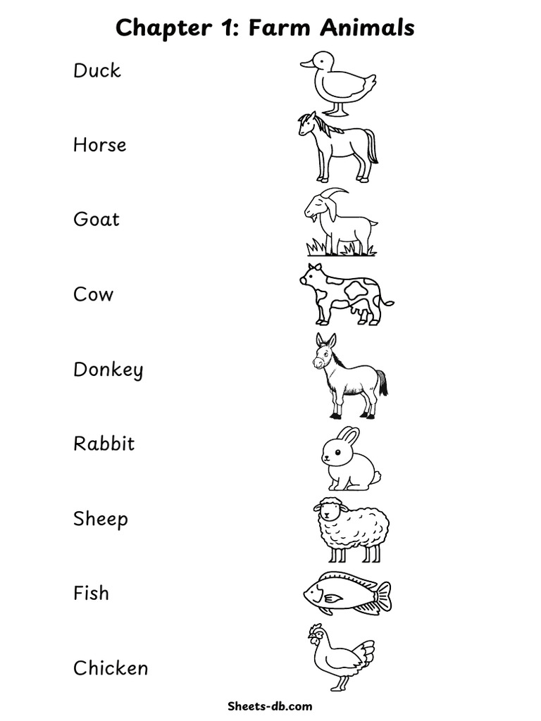 Farm Animals | PDF | Sheep | Milk