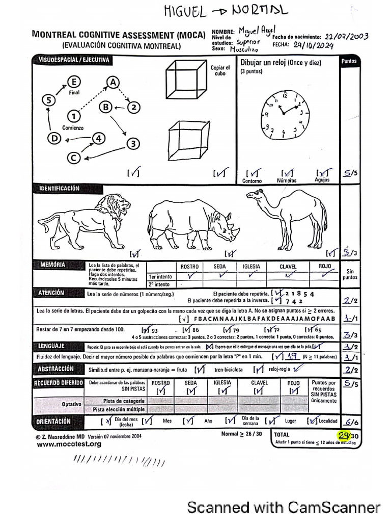 Test de Moca | PDF