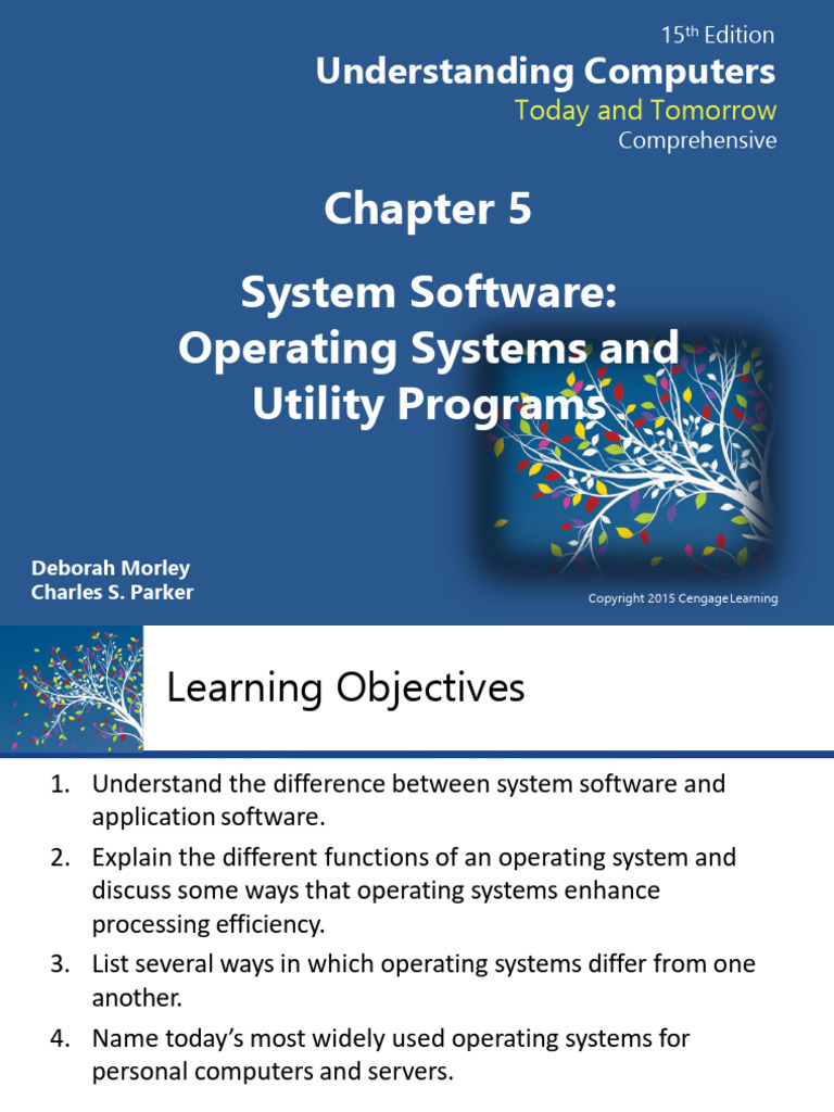 System Software - App Software ch5-6 | PDF | Spreadsheet | Databases