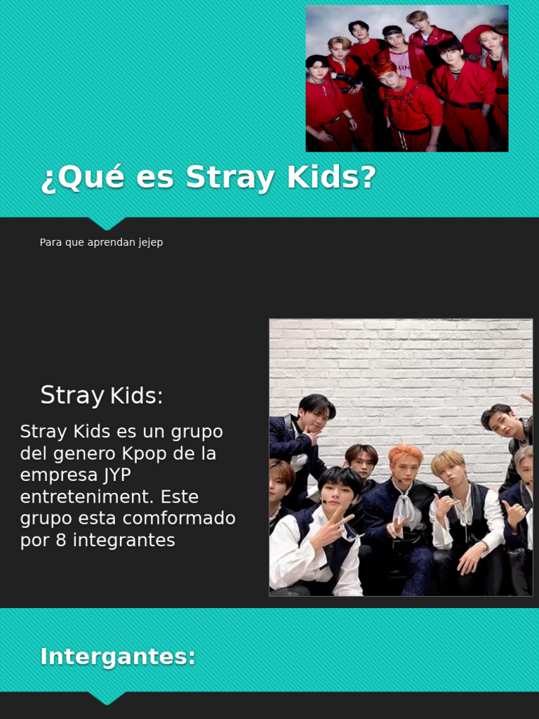 Introducción a Stray Kids y Skzoos | PDF
