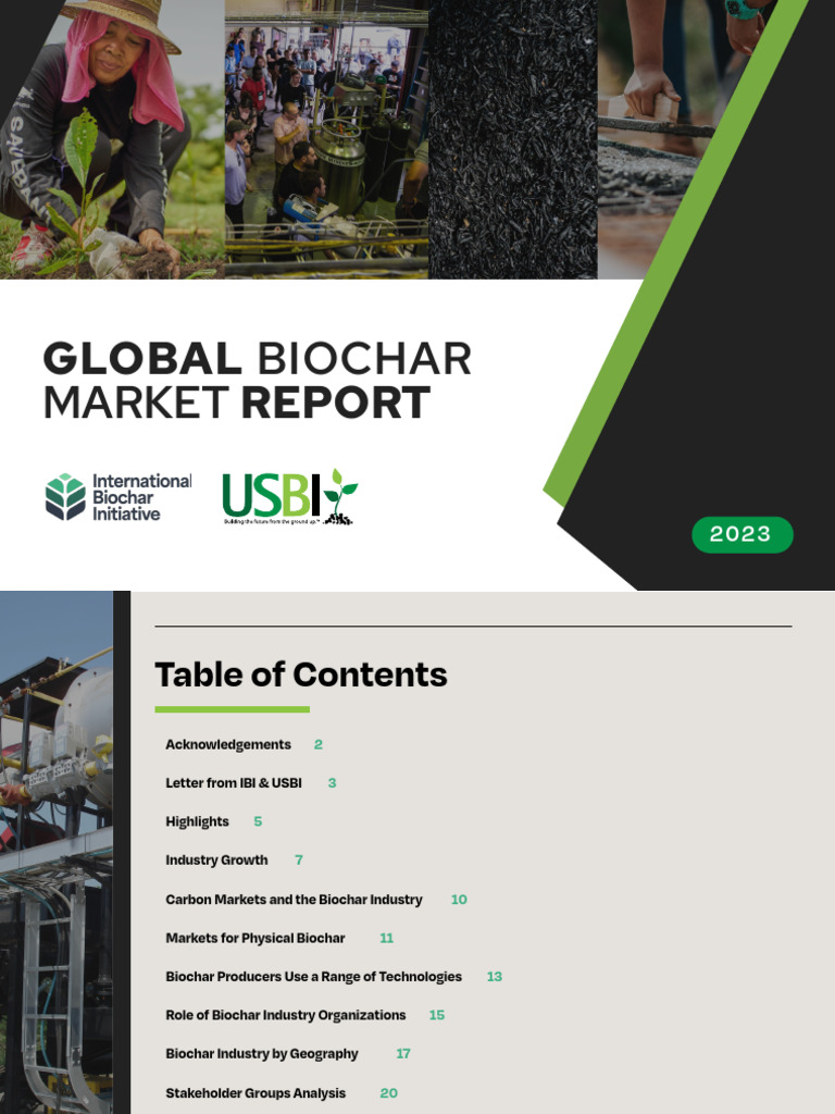 Global Biochar Market Report (2023) - Public | PDF | Climate Change ...