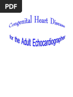 Adult TTE Echocardiography Protocol | PDF | Heart Valve | Echocardiography