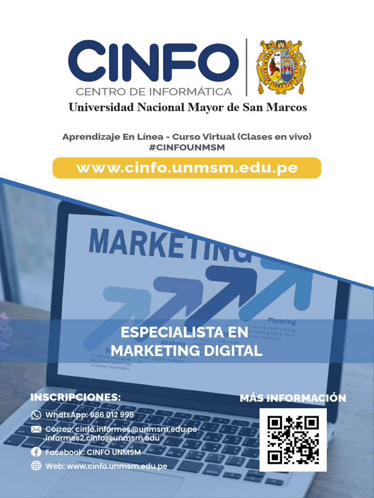 Curso Virtual de Marketing Digital UNMSM | PDF | Publicidad digital ...