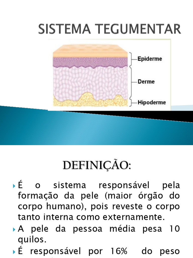 Aula Sistema Tegumentar | PDF | Epiderme | Pele