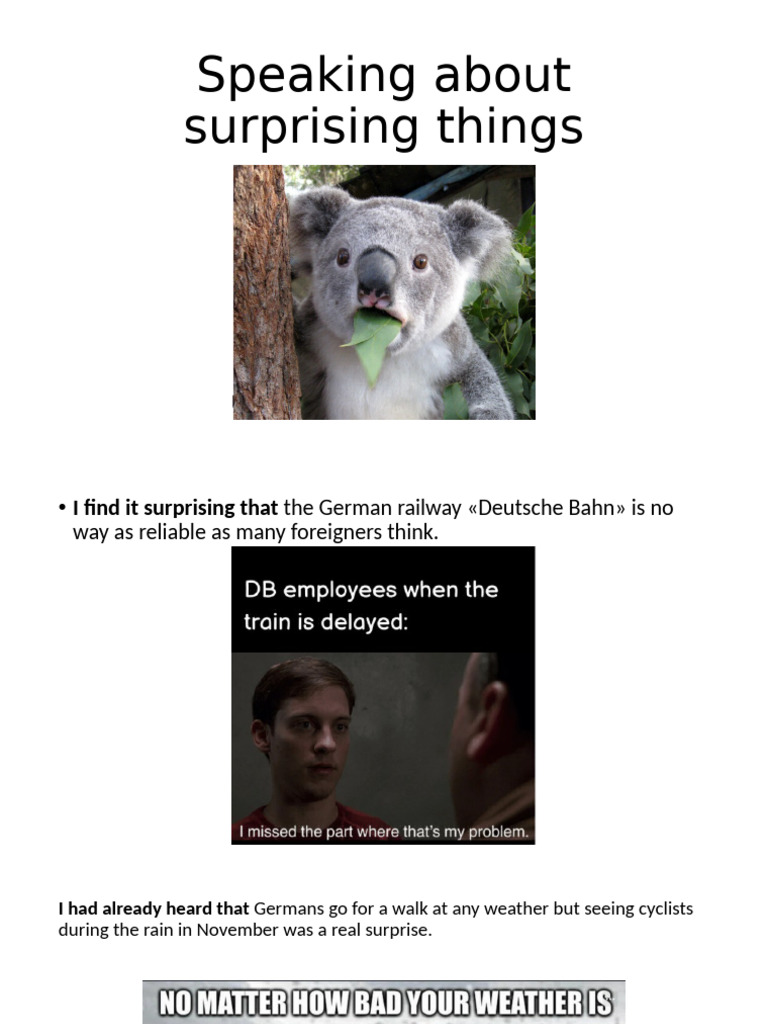Surprising Aspects of Life in Germany | PDF