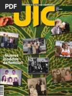 Revista UIC 21