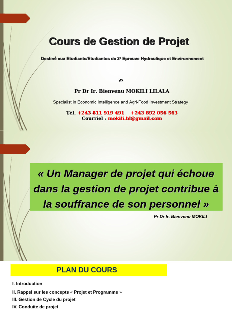 Cours de Gestion de Projet Efficace | PDF | Gestion de projet | Économie
