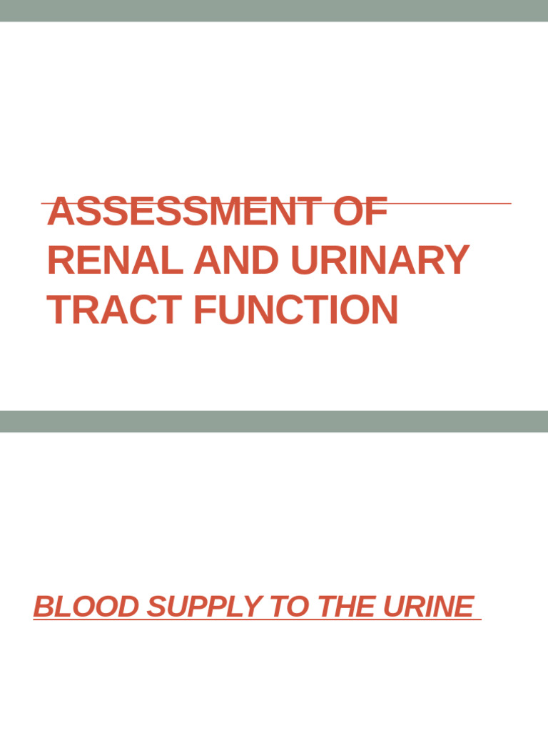 Kidney Function and Urine Formation | PDF | Angiotensin | Kidney