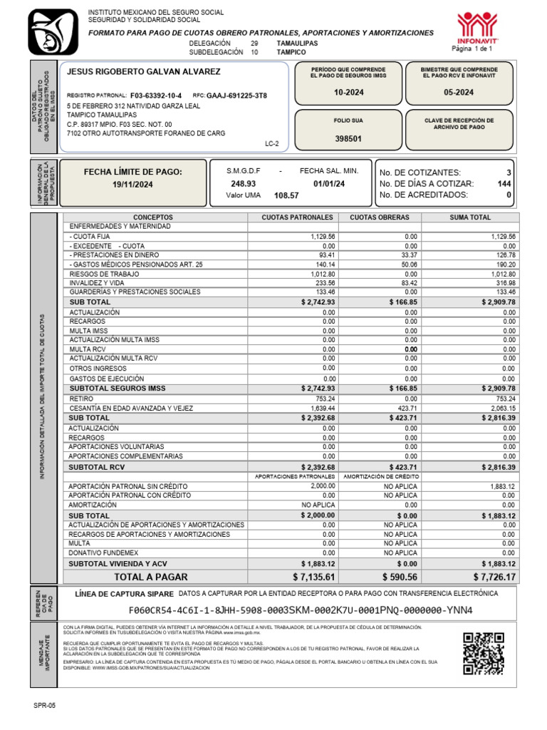 Formato de Pago Cuotas IMSS 2024 | PDF