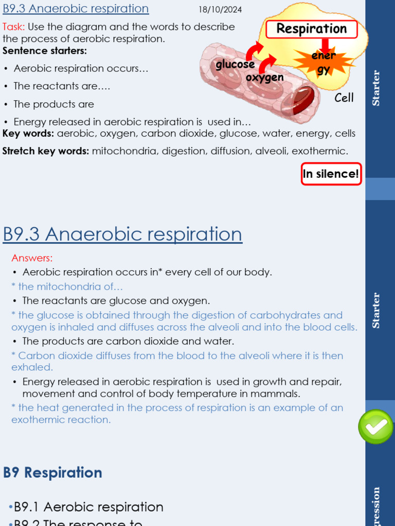 Aerobic vs Anaerobic Respiration Explained | PDF | Cellular Respiration ...