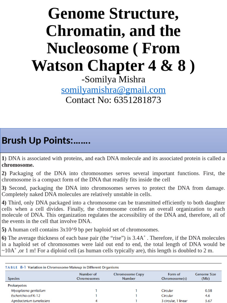 Genome Structure | PDF | Histone | Chromosome