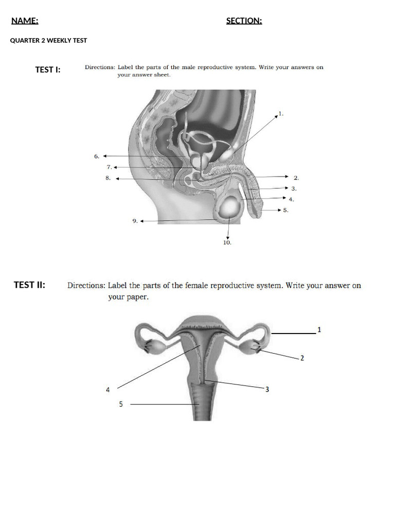quarter-2-weekly-test-pdf