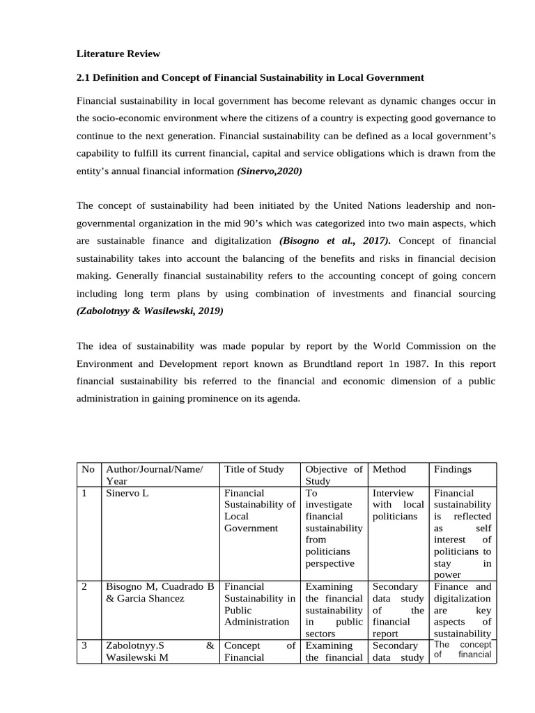 Financial Sustainability in Local Government | PDF | Sustainability | Risk