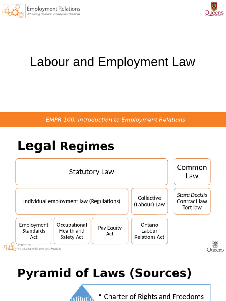 Introduction to Employment Relations | PDF | Labour Law | Employment