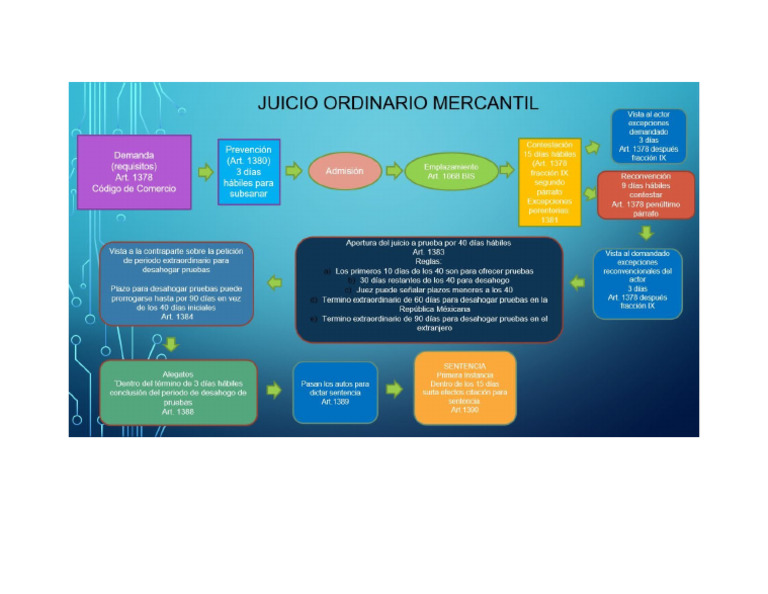 Juicio Ejecutivo Mercantil | PDF