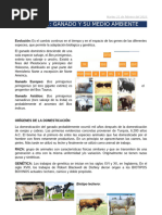 Razas Cebú (Raza Indubrasil) | PDF | Vacas | Animales domesticados