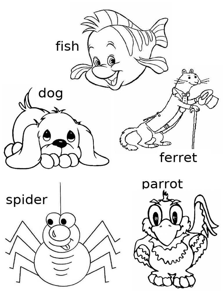 Pets | PDF