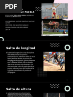 Técnicas y Tipos de Salto Vertical en Atletismo | PDF | Deporte del ...