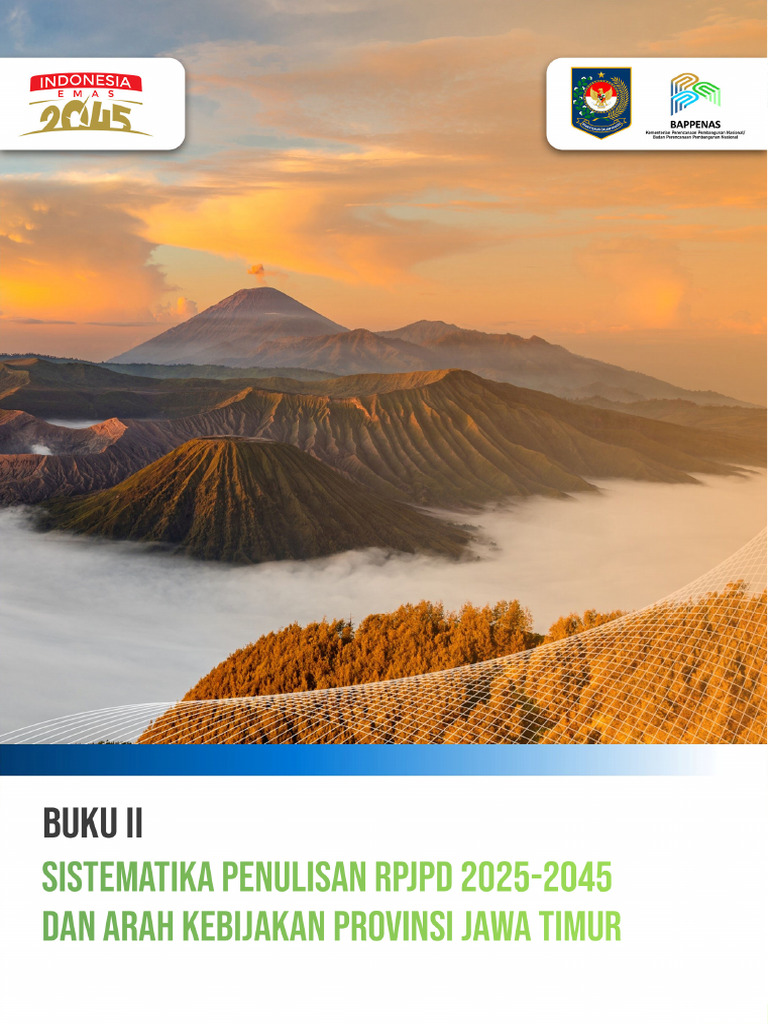 RPJP Daerah 2025-2045: Panduan Penyusunan | PDF | Bisnis | Ilmu Sosial