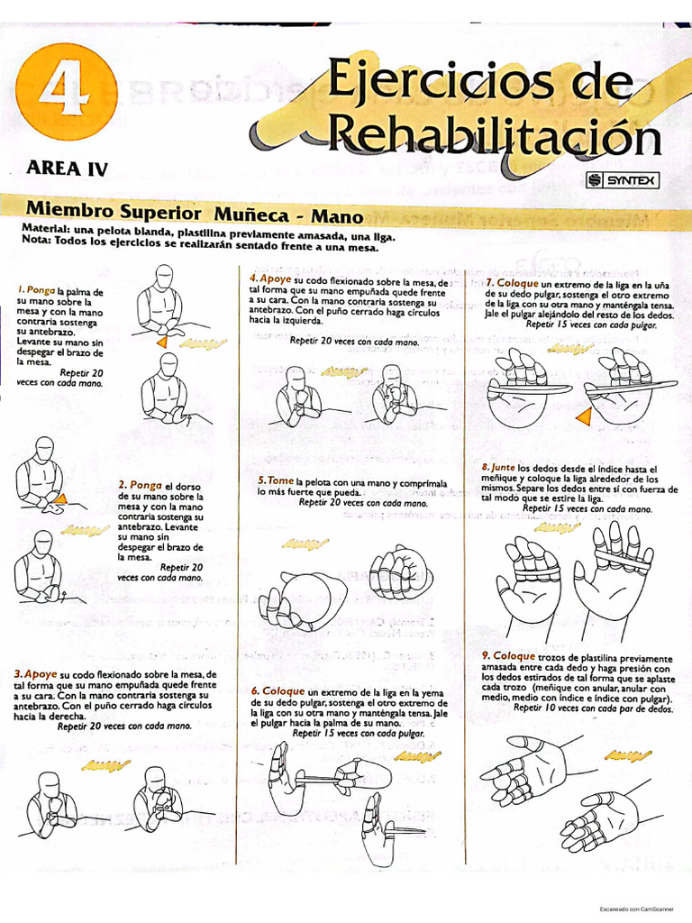 Ejercicios Muñeca y Mano | PDF