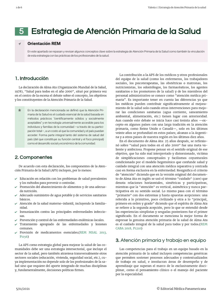 5 Estrategia de Aps | PDF | Medicina | Cuidado de la salud