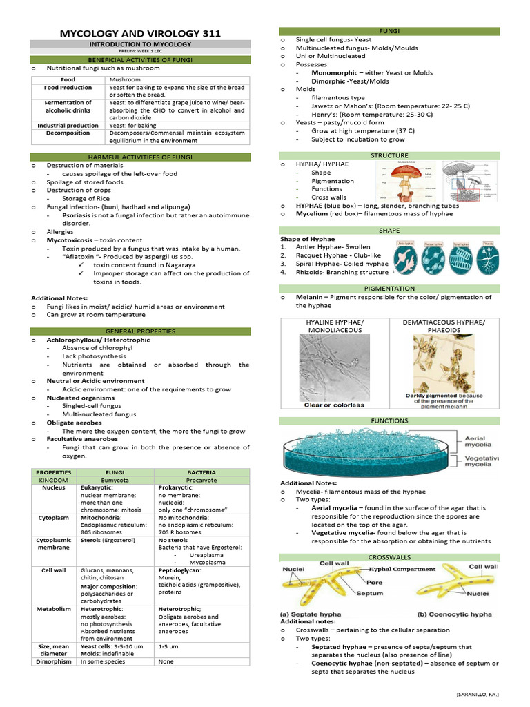 Mycology: Fungi Benefits and Risks | PDF | Fungus | Mycology
