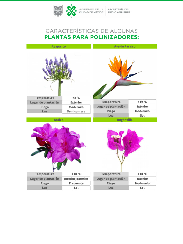 Plantas Polinizadoras | PDF