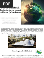Manifiesto Del Impacto Ambiental Mia | PDF | Evaluación de impacto ...