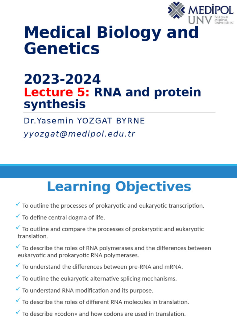 RNA and Protein Synthesis Overview | PDF | Translation (Biology ...