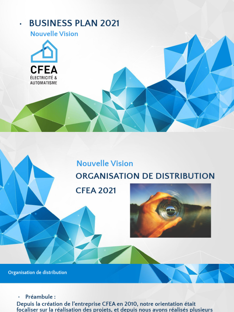 Plan d'Organisation CFEA 2021 | PDF | Commercialisation | Business
