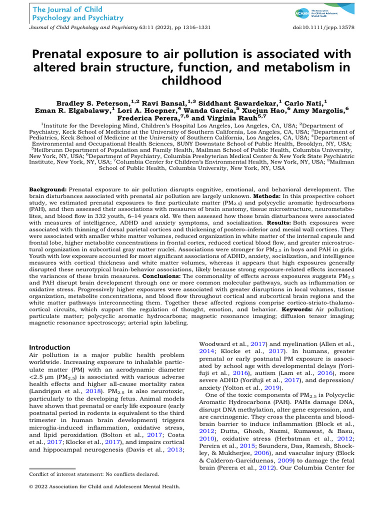 Prenatal Air Pollution Effects on Child Brain | PDF | Cerebral Cortex ...